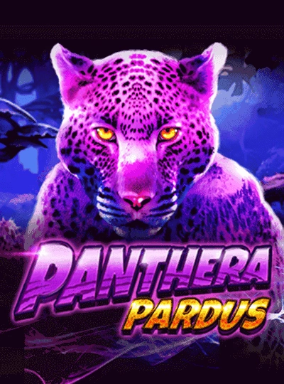 kkdb1